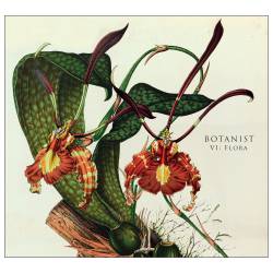 Botanist : VI: Flora
